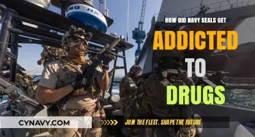 Navy SEALs' Drug Addiction Crisis: Uncovering the Hidden Battle