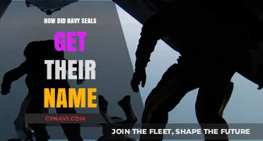 Unveiling the Origins: How Navy SEALs Earned Their Iconic Name