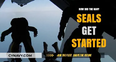Origins of the Navy SEALs: A Historical Journey of Elite Warfare