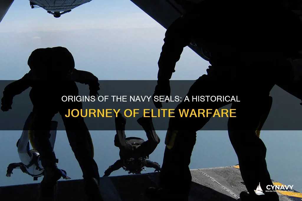 how did the navy seals get started