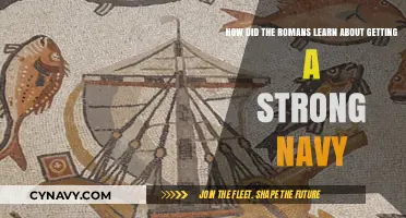 Roman Naval Mastery: Learning to Build a Powerful Fleet