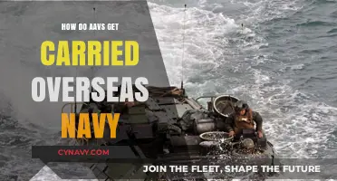 Overseas Navy Transport: How AAVs Are Carried Across Oceans