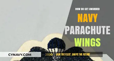 Earning Navy Parachute Wings: A Guide to Qualification and Achievement
