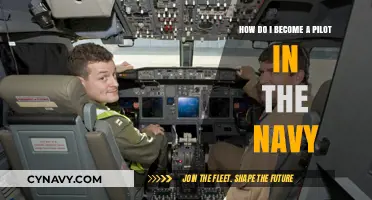 Navy Pilot Career Guide: Steps to Soar in Naval Aviation