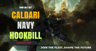 Caldari Navy Hookbill Acquisition Guide: Tips and Strategies for Pilots
