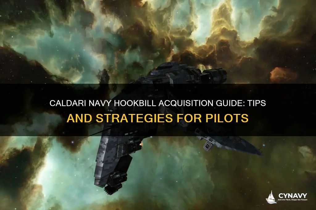 how do i get caldari navy hookbill