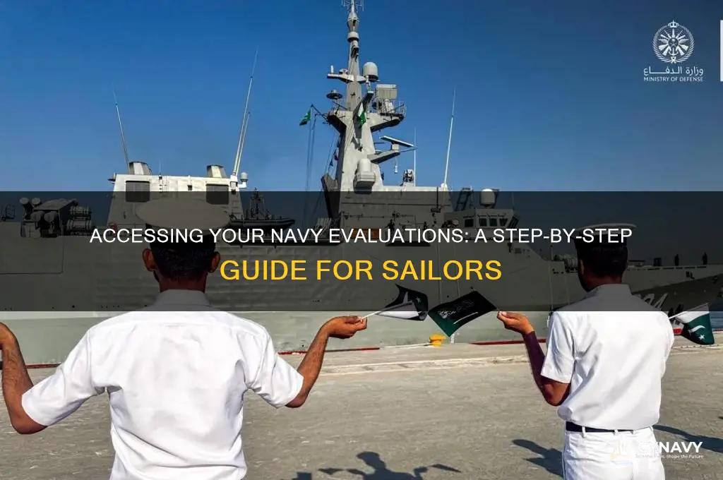how do i get my navy evals