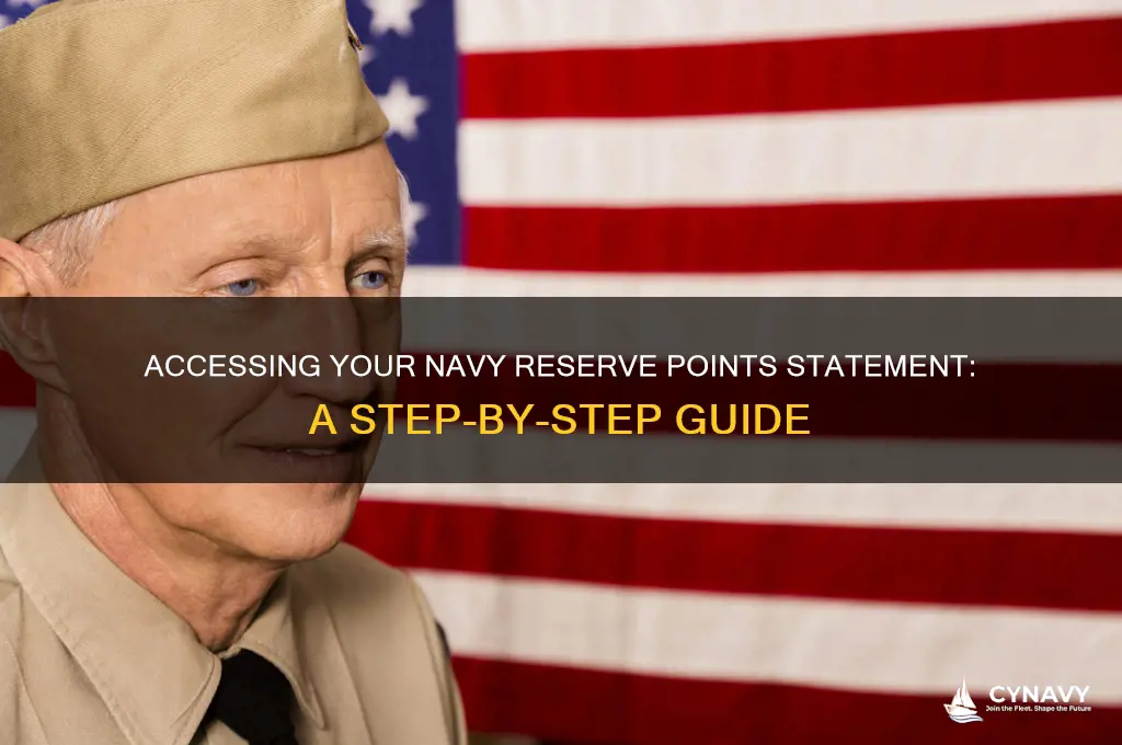 how do i get my navy reserve points statement