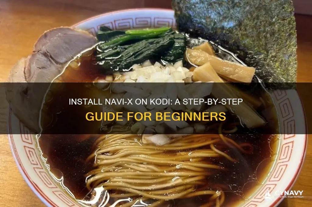 how do i get navi x on kodi