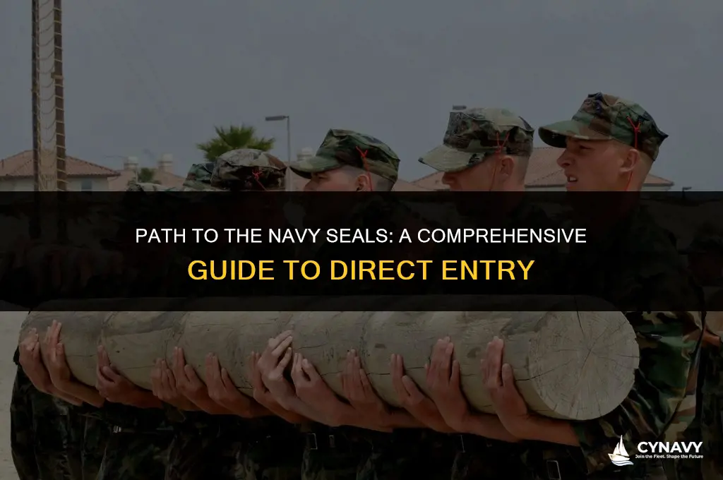 how do i go straight into navy seals