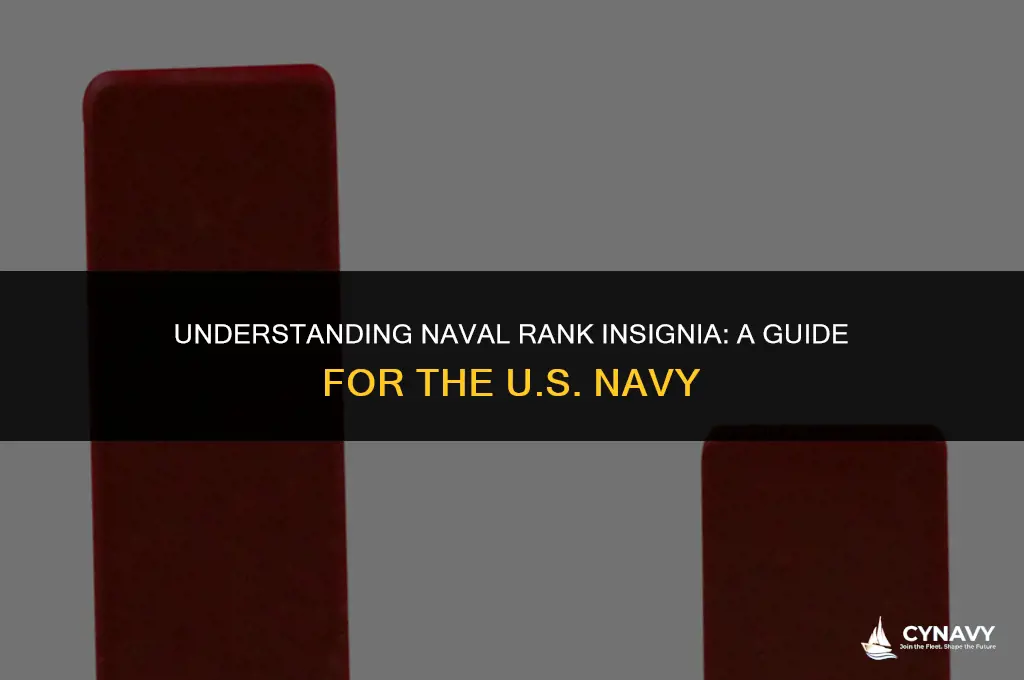 how do naval officers wear their rank us navy