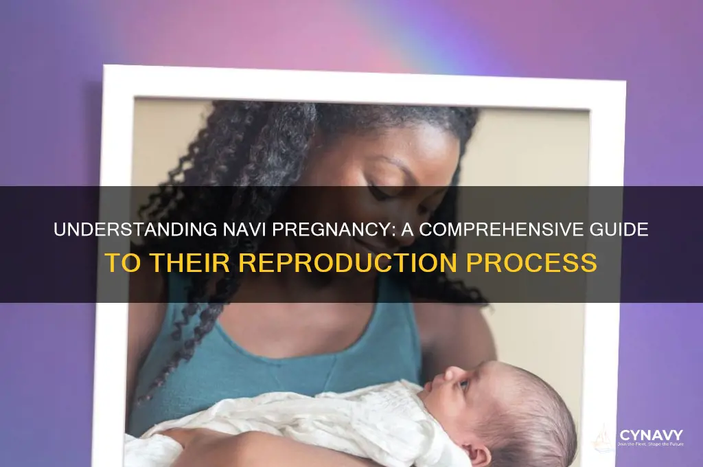 how do navi get pregnant