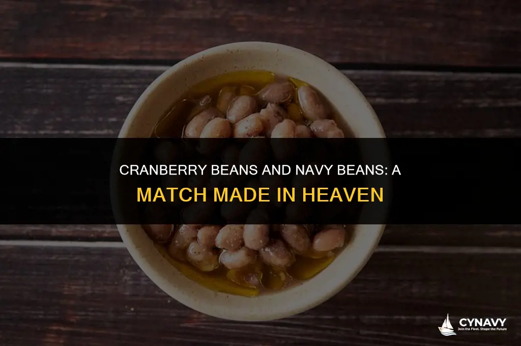 how do navy beans and cranberry beans go together