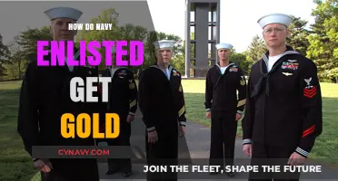 Earning Navy Gold: Enlisted Paths to Prestigious Recognition and Rewards