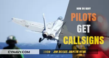How Navy Pilots Earn Their Unique and Memorable Call Signs