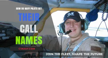 How Navy Pilots Earn Their Unique Call Signs: A Tradition Explained