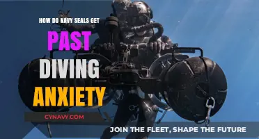 Overcoming the Depths: Navy SEALs' Strategies to Conquer Diving Anxiety