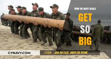 Navy SEALs' Size Secrets: Unveiling Their Intense Training and Nutrition Regimen