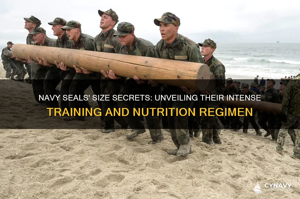 how do navy seals get so big
