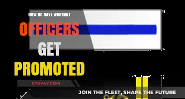 Navy Warrant Officer Promotion Path: Steps, Requirements, and Career Growth