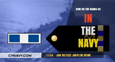 Understanding Naval Hierarchy: A Guide to Ranks and Structure