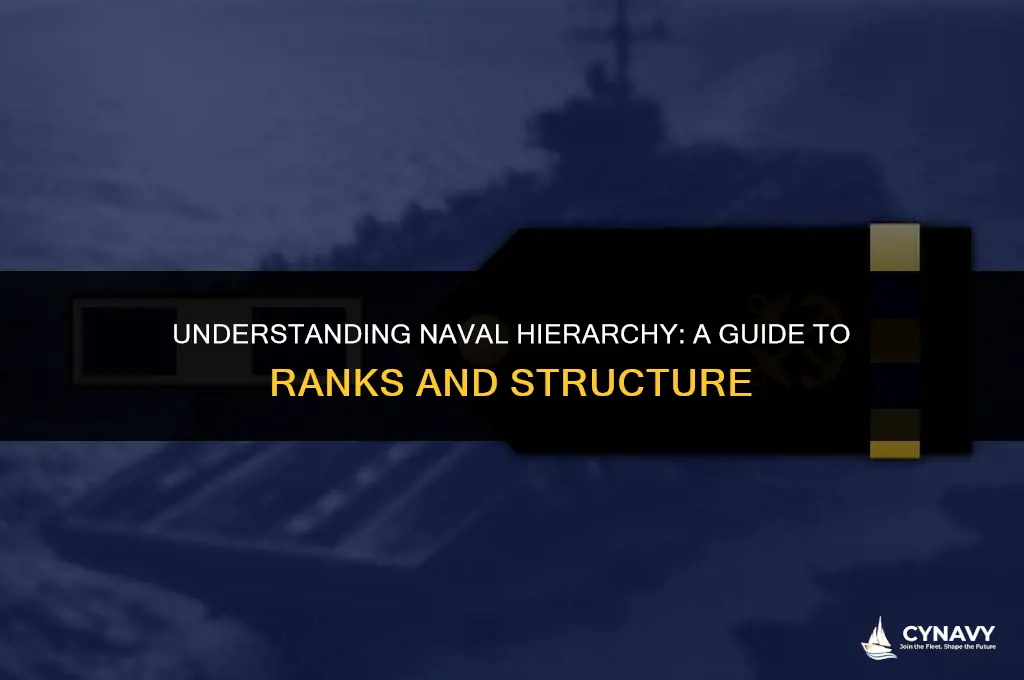 how do the ranks go in the navy