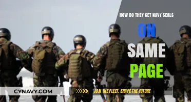 Uniting Navy SEALs: Strategies for Seamless Team Alignment and Cohesion