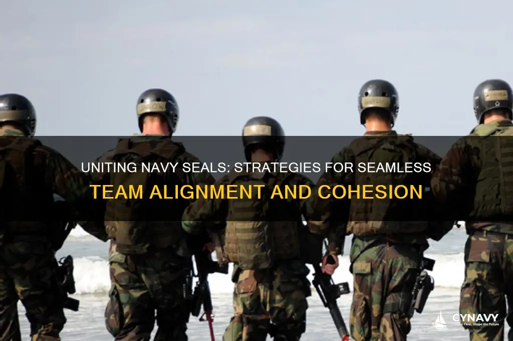 how do they get navy seals on same page