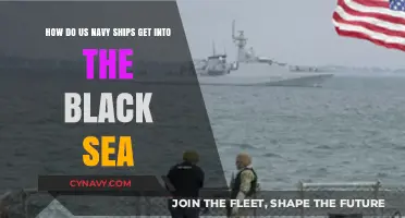 Navigating the Black Sea: US Navy Ships' Strategic Access Explained