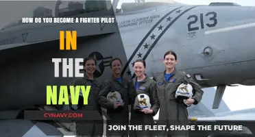 Navy Fighter Pilot: Steps to Soar in the Skies