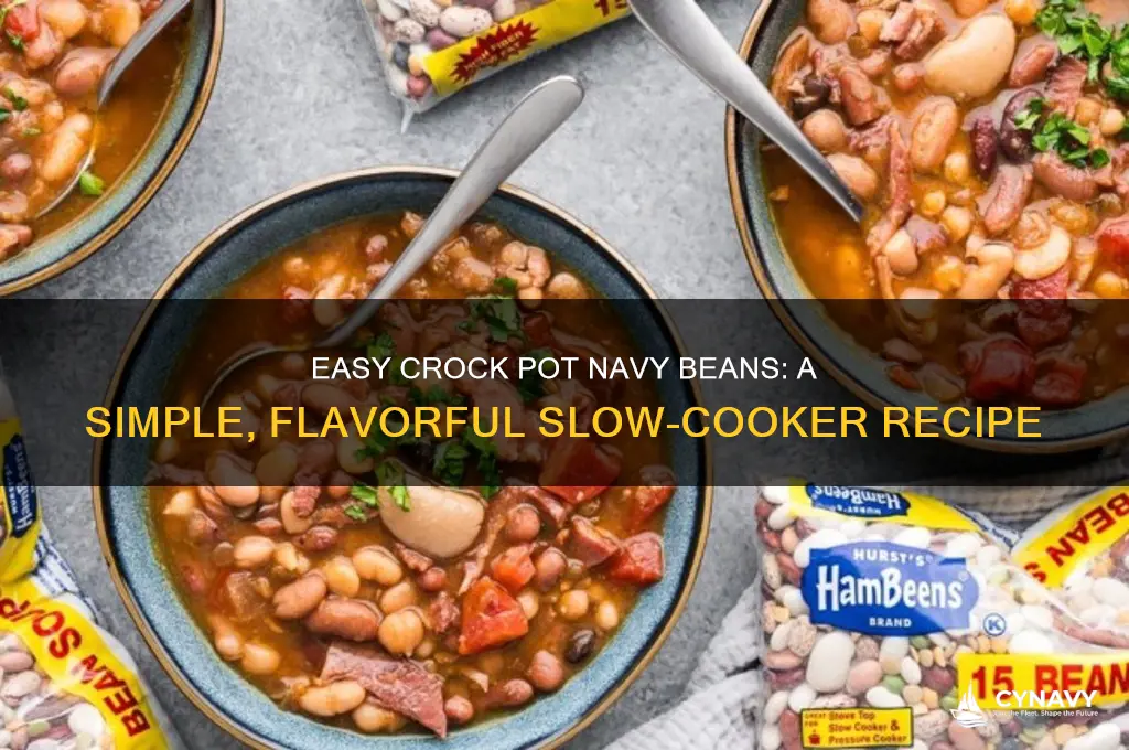 how do you cook navy beans in a crock pot