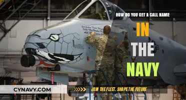 Earning Your Navy Call Sign: Traditions, Meanings, and Stories Behind Them