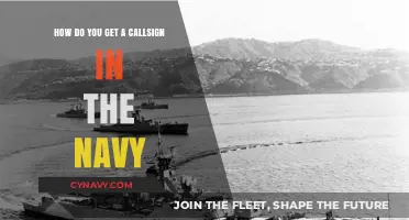 Earning Your Navy Callsign: A Step-by-Step Guide to Tradition