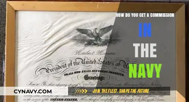 Earning Your Navy Commission: A Step-by-Step Guide to Officer Ranks
