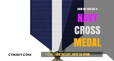 Earning the Navy Cross: Heroic Actions and Award Criteria Explained