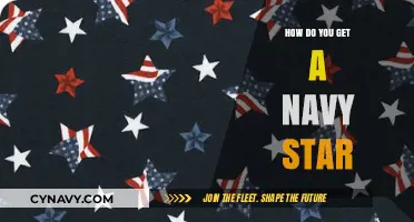 Earning the Navy Star: A Guide to Military Valor Recognition