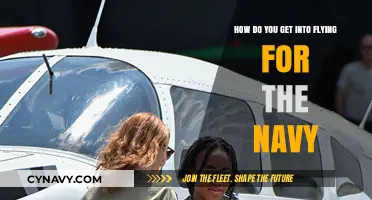 Soaring with the Navy: Your Guide to Becoming a Naval Aviator