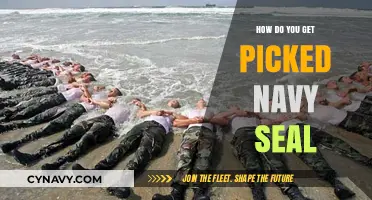 Navy SEAL Selection: Proven Strategies to Get Picked and Succeed