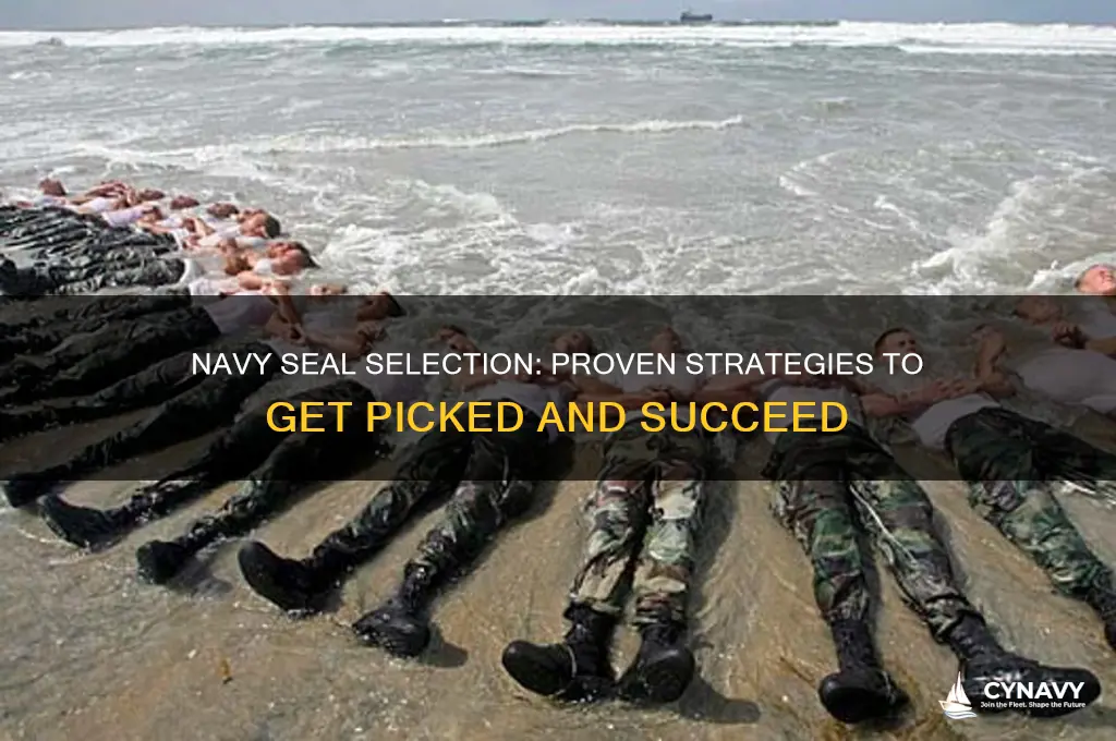 how do you get picked navy seal