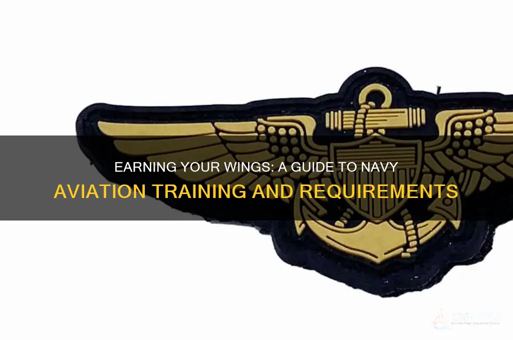 how do you get your wings in the navy