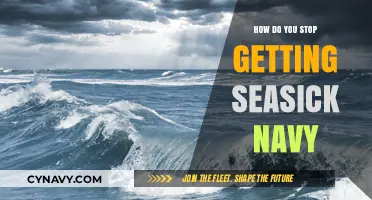 Combat Seasickness: Navy-Approved Tips to Stay Steady at Sea