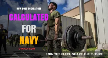 Understanding the Navy's Body Fat Calculation Methods and Standards