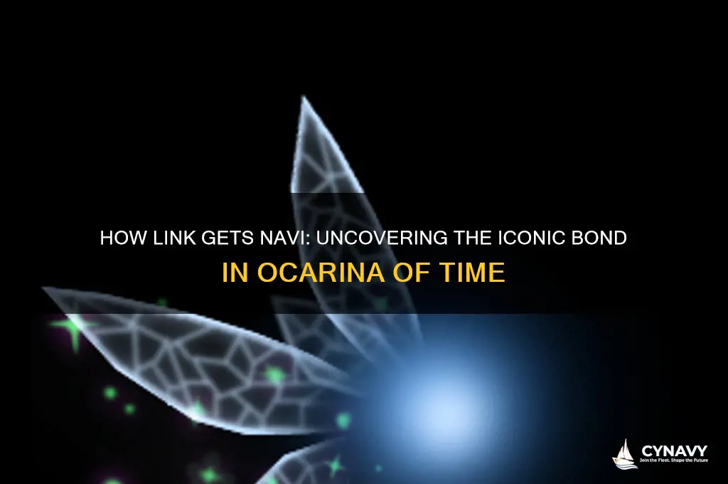 how does link get navi