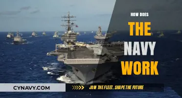 Exploring the Depths: An Insider's Guide to Naval Operations
