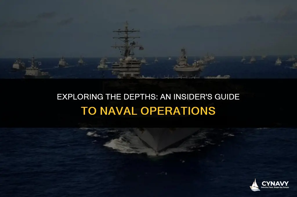 how does the navy work