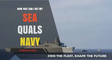 Accelerate Your Navy Sea Qualifications: A Fast-Track Guide