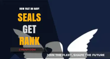 Navy SEAL Rank Progression: How Quickly Do Operators Advance?