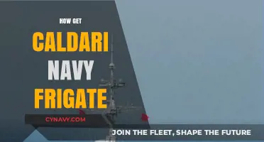 Mastering EVE Online: Strategies to Acquire Caldari Navy Frigate
