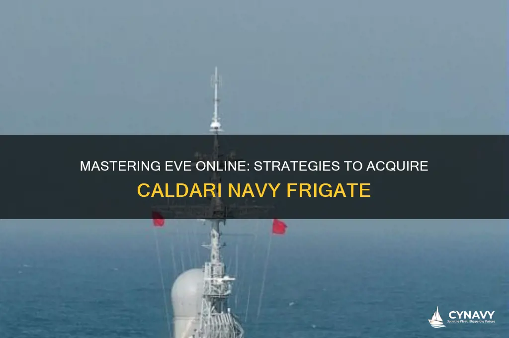 how get caldari navy frigate