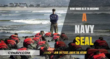 The Challenging Path to Becoming a Navy SEAL: Insights and Requirements